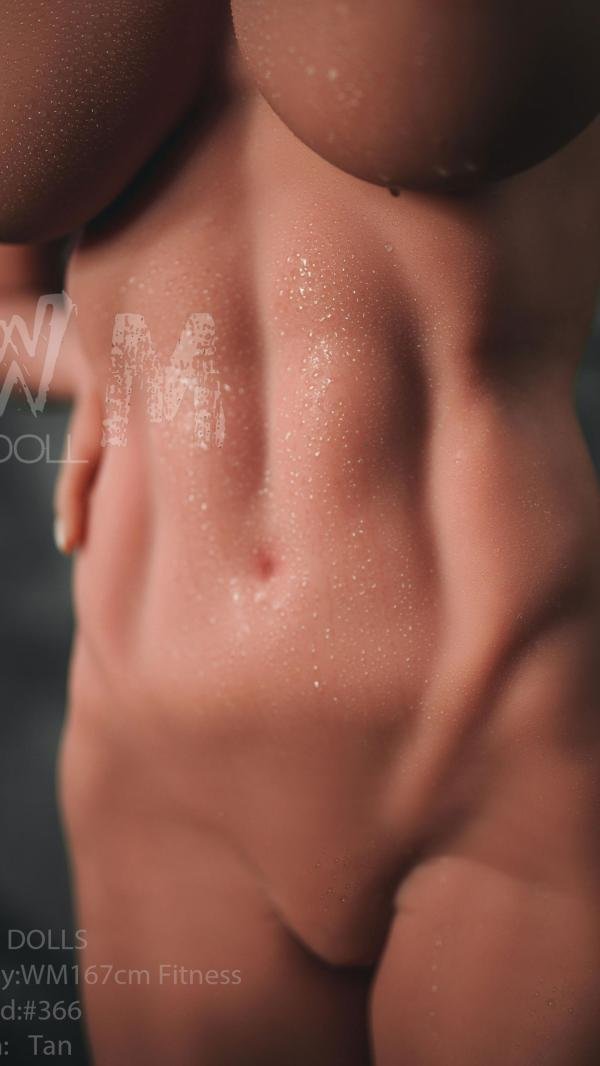 WMDOLL  TPE Dolls5'5 FT (167CM) fitness with head 366#