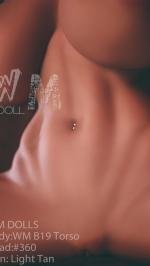 WMDOLL  TPE Dolls  WM B19 Torso with 360#