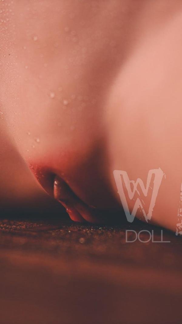 WMDOLL  TPE Dolls  WM B19 Torso  with 372#