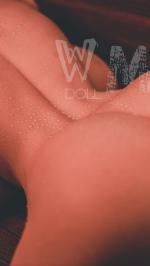 WMDOLL  TPE Dolls  WM B19 Torso  with 372#