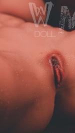 WMDOLL  TPE Dolls  WM B19 Torso  with 372#