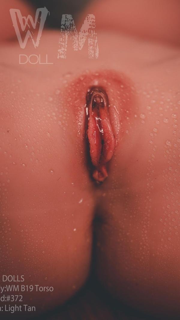 WMDOLL  TPE Dolls  WM B19 Torso  with 372#