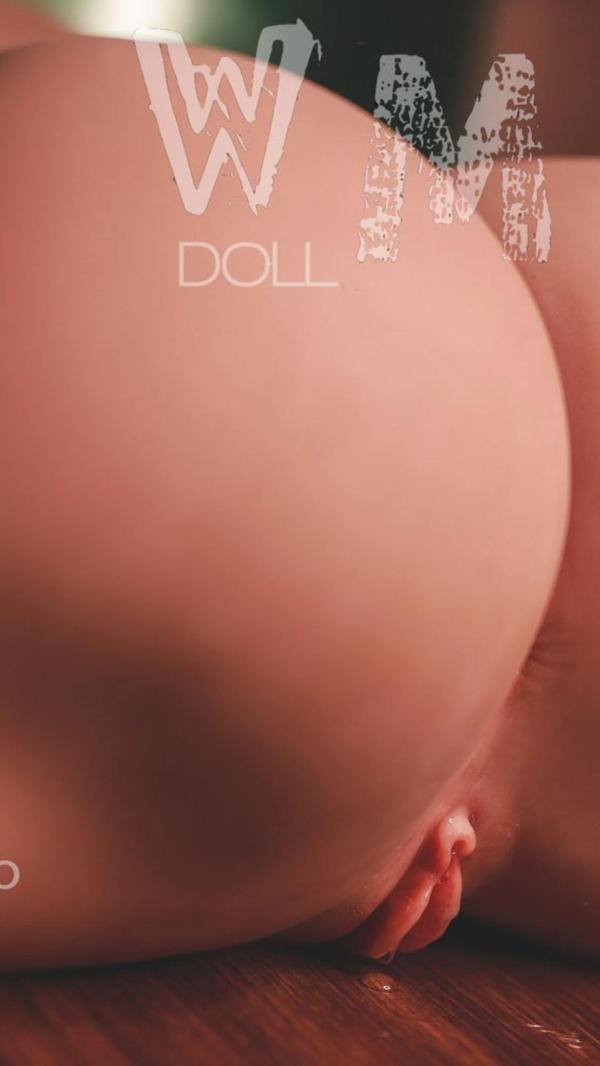 WMDOLL  TPE Dolls  WM B19 Torso  with 336#