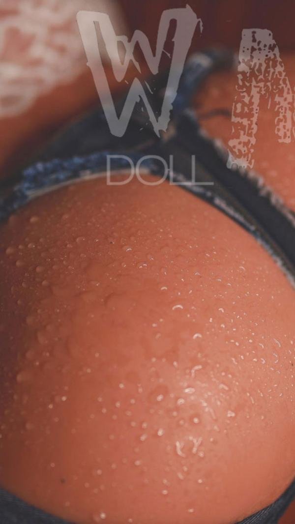 WMDOLL  TPE Dolls  WM B19 Torso  with 336#